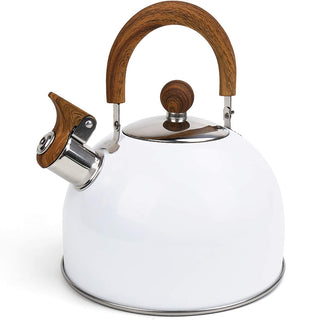 Modern Stainless Steel Teapot